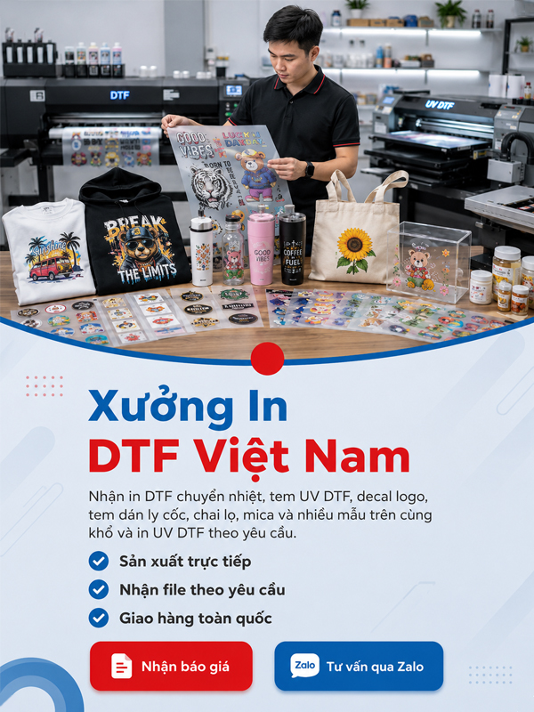 slide mb dtfvietnam